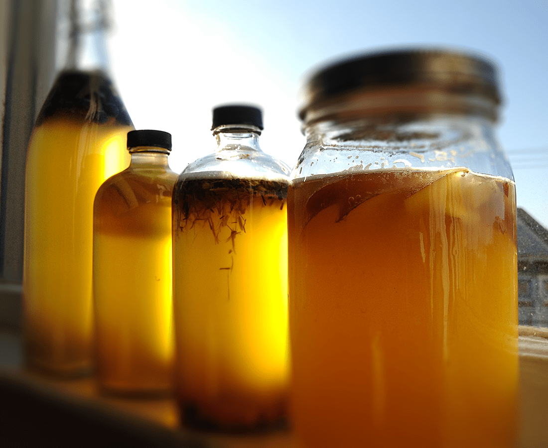What is kombucha and should I be drinking&nbsp;it?