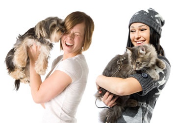 web-post-dog-cat-diff-365x252-opt