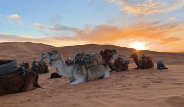 Have you Turned in Your CCS&nbsp;Forms?